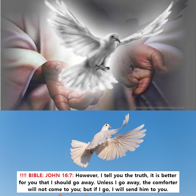 ‼️‼️ ‼️ 2025 09 12 ‼️ ✌👑 ‼️ TRÈS IMPORTANT : RÉVÉLATION DE L&rsquo;ANTICHRIST, QUI EST UN PROPHÈTE QUI EST INSPIRÉ PAR LUCIFER : LE MANQUE DE CONFIANCE EN SOI-MÊME EST UN MANQUE DE FOI EN DIEU… : SI TU AS LA FOI EN DIEU, TU AS CONFIANCE EN DIEU, ET LA CONFIANCE EN DIEU, TE DONNE CONFIANCE EN TOI-MÊME…&nbsp;: