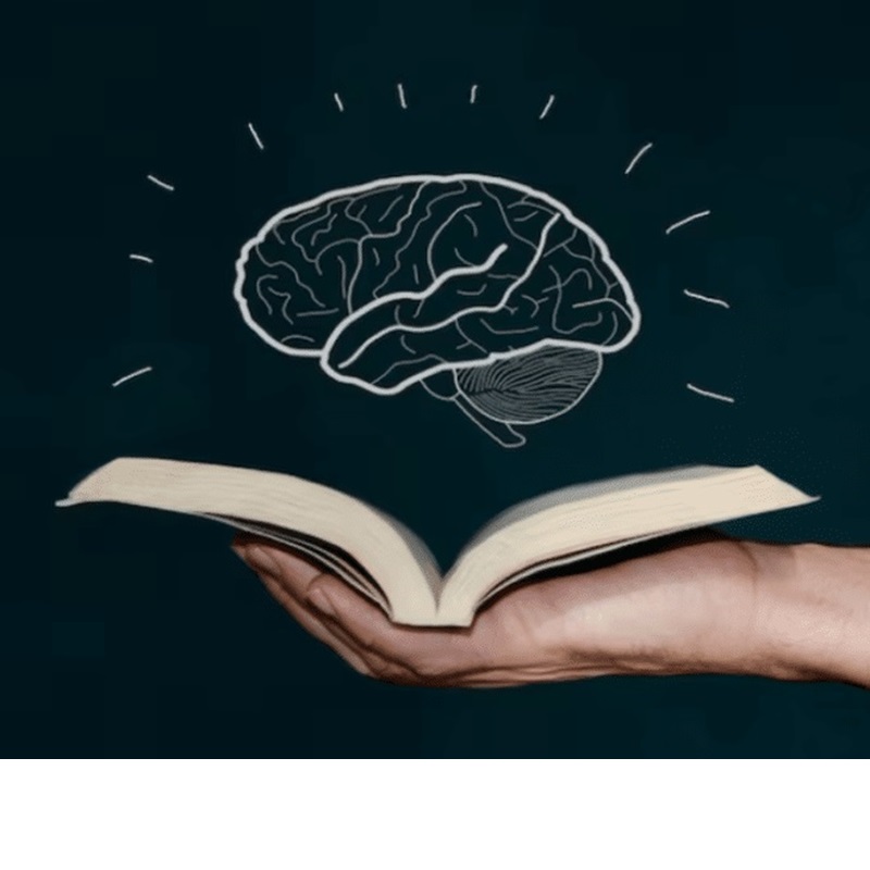 ‼️‼️ ‼️ 2025 06 25 ‼️ ✌👑 ‼️ TRÈS IMPORTANT : Je ne dors pas beaucoup, ce n&rsquo;est pas bon pour mon cerveau qui a un problème depuis ma jeunesse, je crois que mon problème au cerveau est devenu un peu plus grave, j&rsquo;ai plus de difficultés à me concentrer, je suis devenu plus lent, et j&rsquo;ai l&rsquo;impression que mon cerveau est endormi, j&rsquo;ai l&rsquo;impression que je pourrais devenir fou, par la faute d&rsquo;un problème au cerveau&nbsp;: