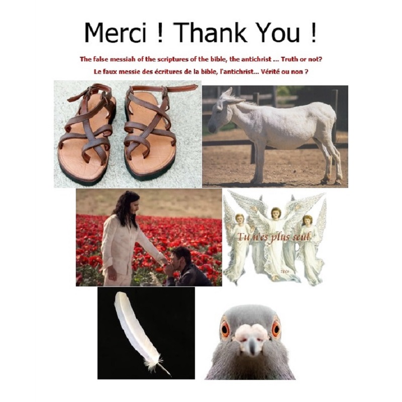 ‼️‼️ ‼️ 2026 01 23 ‼️ ✌👑 ‼️ TRÈS IMPORTANT : Voici le message que j&rsquo;ai envoyé au &laquo;&nbsp;Foyer Du Sud&nbsp;&raquo; suite à une tentative d&rsquo;arnaque&nbsp;: